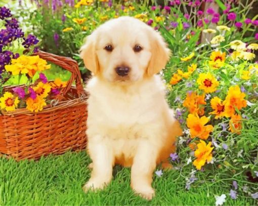 Cute Puppy In Garden paint by number