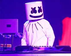 Dj Marshmello Concert paint by number