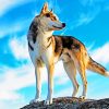 Dog Standing On Mountain paint by number