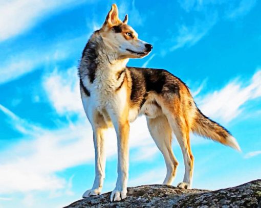 Dog Standing On Mountain paint by number