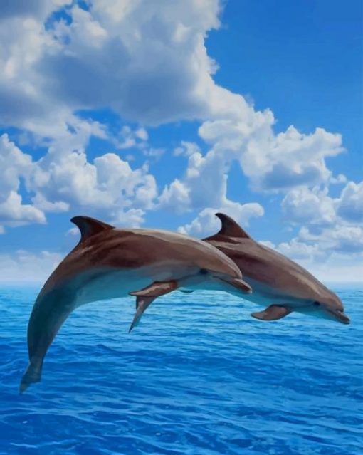 Dolphins Animals paint by numbers