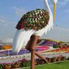 Dubai Miracle Garden paint by numbers