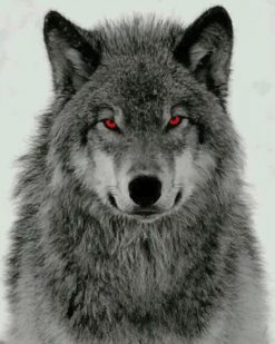 Grey Wolf With Red Eyes paint by numbers