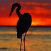 Heron On Beach Silhouette paint by numbers