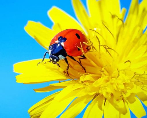 Ladybug Yellow Flower paint by number