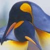 Lovely Penguins Couple paint by number