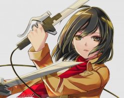 Mikasa Ackerman With A Sword paint by number