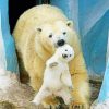 Mom And Baby White Bear ppaint by numbers