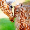 Mom Giraffe And Baby Giraffe paint by numbers