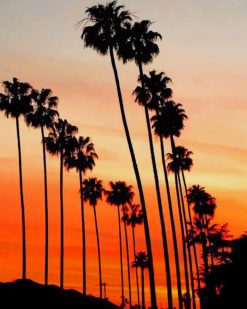 Palms Trees in California paint by numbers