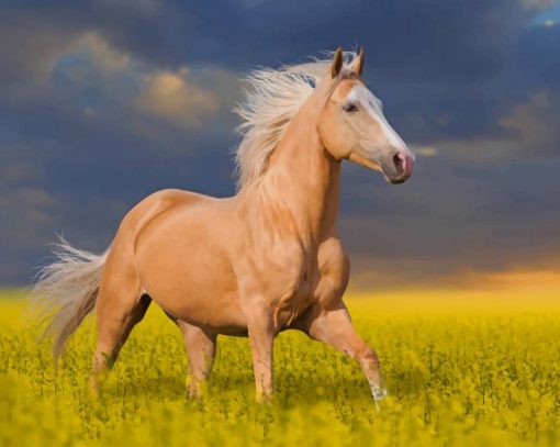 Palomino Horse paint by number