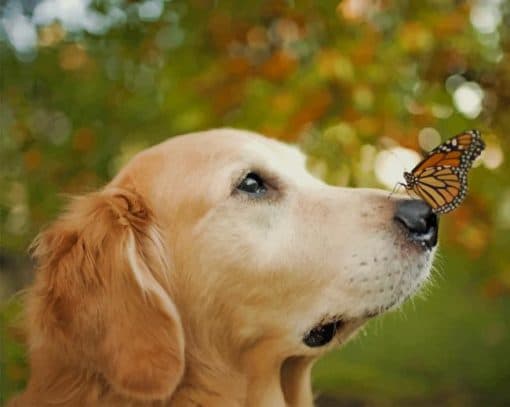 Puppy With Butterfly paint by number