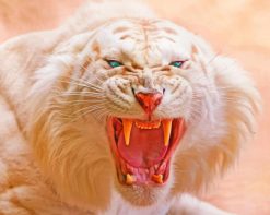 Roaring Angry White Lion paint by number