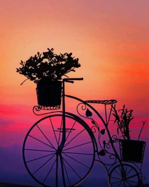 Silhouette Of Bike With Flowers paint by numbers