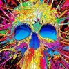 Skull Colorful Art paint by number