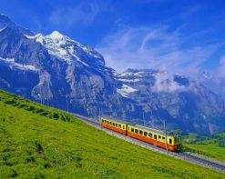 Train In Darjeeling paint by number