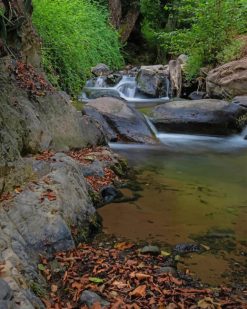 Water Stream On The River paint by numbers