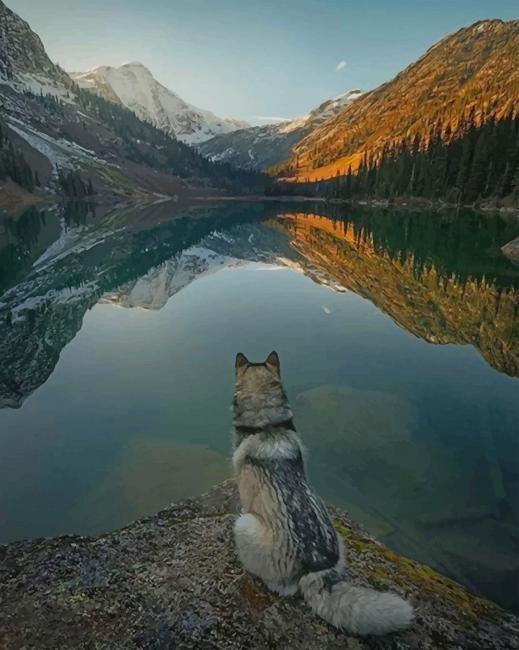 Wolf in The River paint by numbers