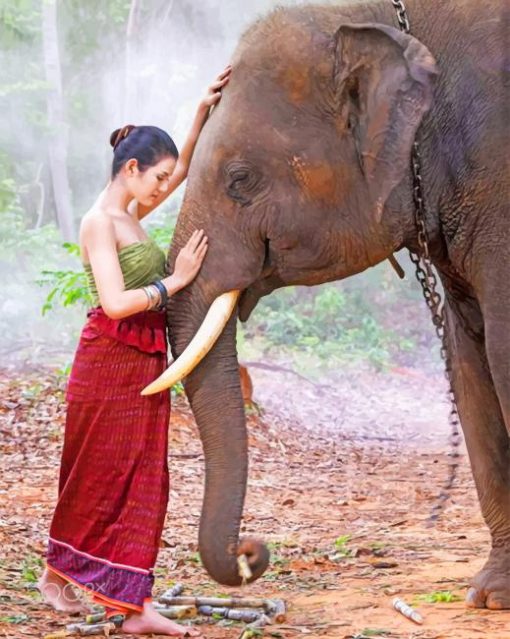 Woman With Indian Elephant paint by numbers