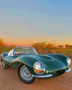 1957 Jaguar XKSS paint by numbers