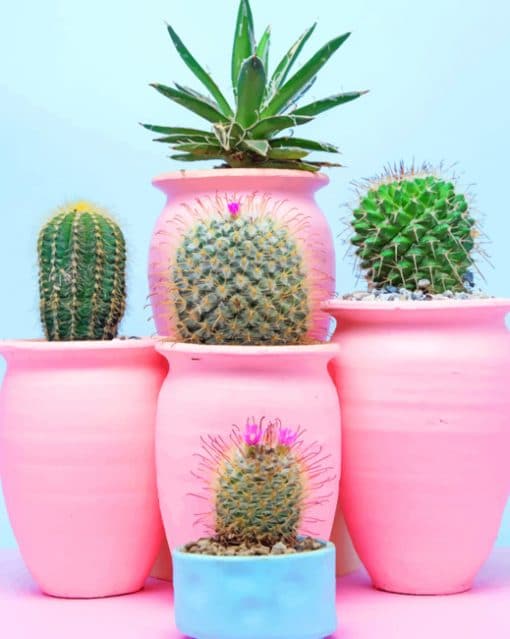 Aesthetic Cactus paint by numbers