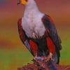 African Fish Eagle paint by numbers