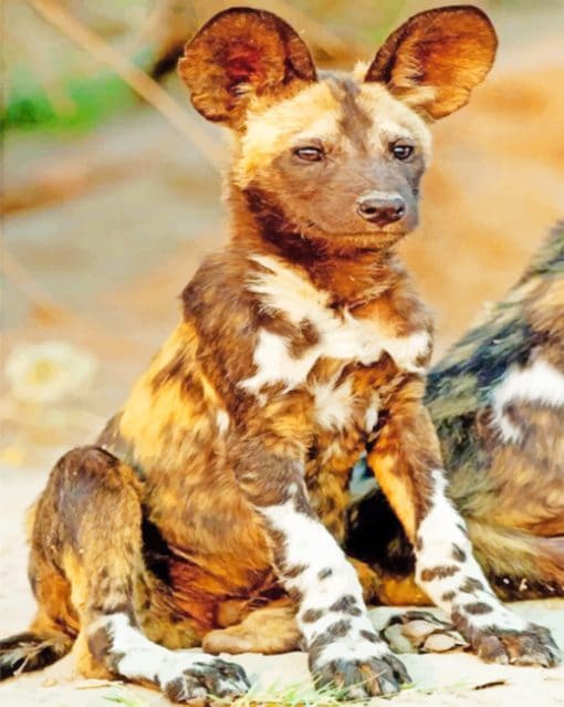 African Wild Dog painnt by numbers