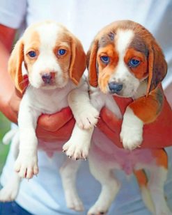 Beagle Babies paint by numbers