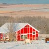 Barn Winter And Horses paint by numbers