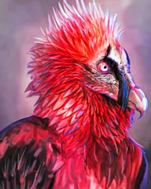 Bearded Vulture Art paint by numbers