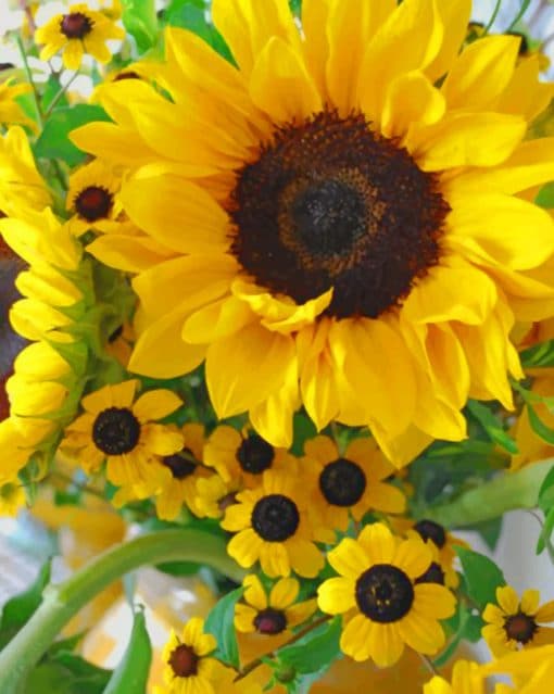 Beautiful Sunflowers paint by numbers