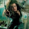 Bellatrix Lestrange Harry Potter paint by numbers