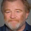 Brendan Gleeson paint by numbers