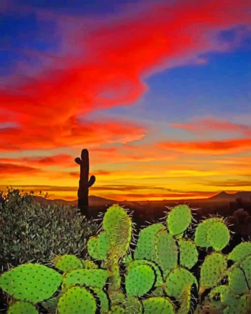 Cactus Desert Sunset paint by numbers