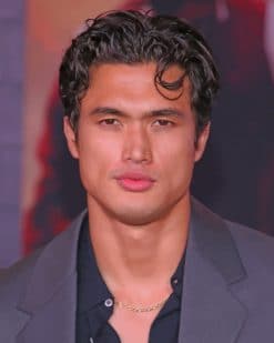 Charles Melton Actor paint by numbers