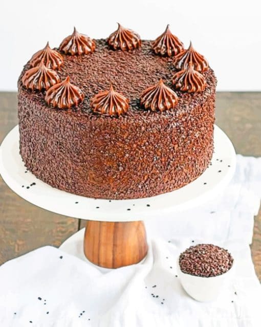 Chocolate Truffle Cake paiint by numbers