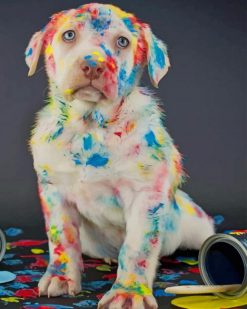 Colorful Dog Dalmatian painnt by numbers