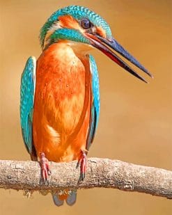 Common kingfisher paint by numbers