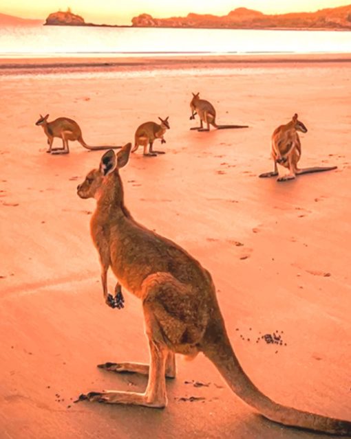 Eastern Grey Kangaroo paint by numbers