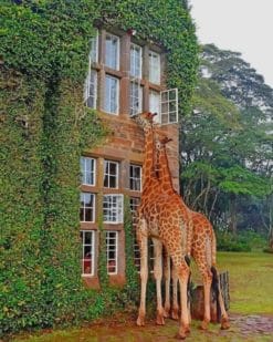 Giraffes In Philips Van Lennep Park paint by numbers