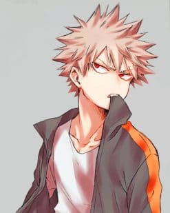 Katsuki Bakugo Character paint by numbers