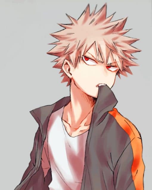 Katsuki Bakugo Character paint by numbers