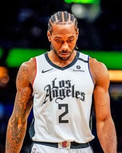 Kawhi Leonard paint by numbers