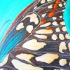 Landed Butterfly Abstract paint by numbers