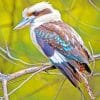 Laughing kookaburra paint by numbers