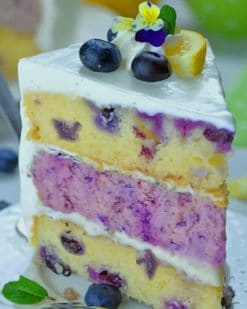 Lemon And Blueberry Cake paint by numbers