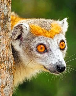 Lemurs paint by numbers