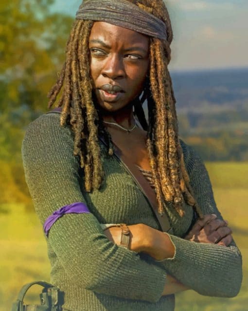 Michonne The Walkinng Dead paint by numbers