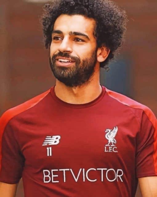 Mohamed Salah Footballer paint by numbers