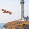 Pigeon Point Lighthouse paint by numbers